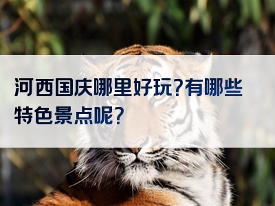 河西国庆哪里好玩？有哪些特色景点呢？