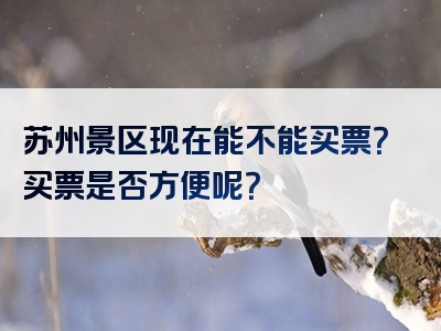 苏州景区现在能不能买票？买票是否方便呢？