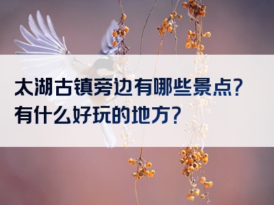 太湖古镇旁边有哪些景点？有什么好玩的地方？