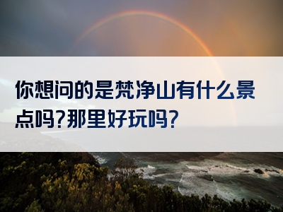 你想问的是梵净山有什么景点吗？那里好玩吗？