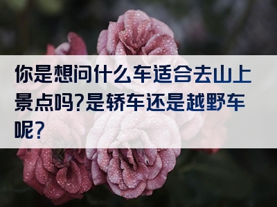 你是想问什么车适合去山上景点吗？是轿车还是越野车呢？