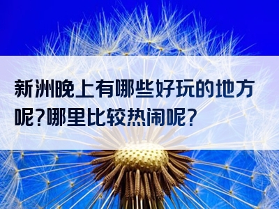 新洲晚上有哪些好玩的地方呢？哪里比较热闹呢？