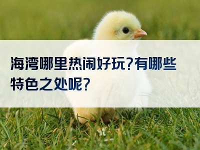 海湾哪里热闹好玩？有哪些特色之处呢？