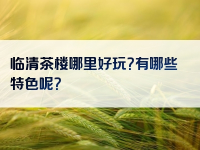 临清茶楼哪里好玩？有哪些特色呢？