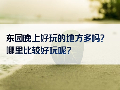 东园晚上好玩的地方多吗？哪里比较好玩呢？