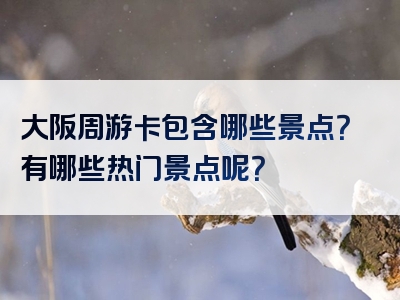 大阪周游卡包含哪些景点？有哪些热门景点呢？