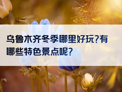 乌鲁木齐冬季哪里好玩？有哪些特色景点呢？