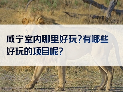 咸宁室内哪里好玩？有哪些好玩的项目呢？