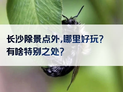 长沙除景点外，哪里好玩？有啥特别之处？