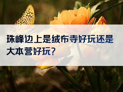珠峰边上是绒布寺好玩还是大本营好玩？