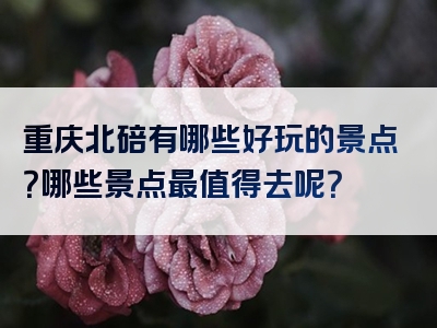 重庆北碚有哪些好玩的景点？哪些景点最值得去呢？