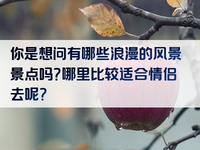 你是想问有哪些浪漫的风景景点吗？哪里比较适合情侣去呢？