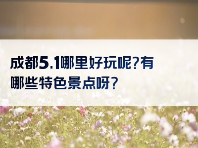 成都5.1哪里好玩呢？有哪些特色景点呀？