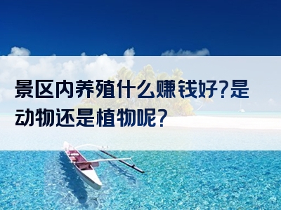 景区内养殖什么赚钱好？是动物还是植物呢？