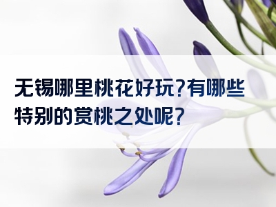 无锡哪里桃花好玩？有哪些特别的赏桃之处呢？