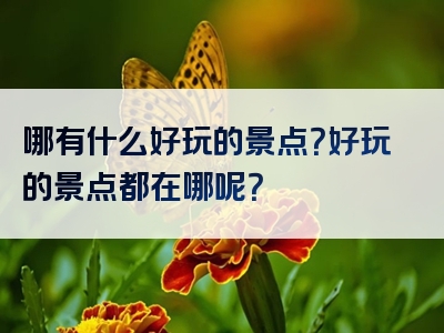 哪有什么好玩的景点？好玩的景点都在哪呢？