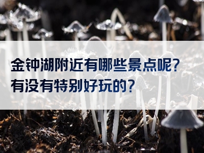 金钟湖附近有哪些景点呢？有没有特别好玩的？