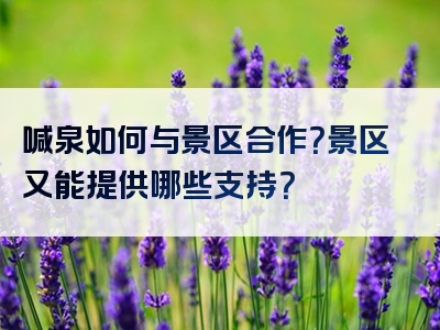 喊泉如何与景区合作？景区又能提供哪些支持？