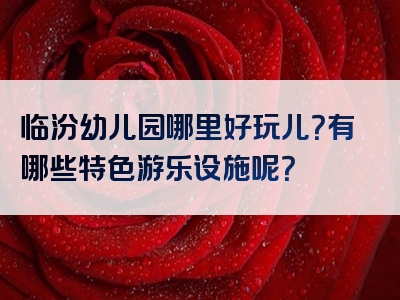 临汾幼儿园哪里好玩儿？有哪些特色游乐设施呢？