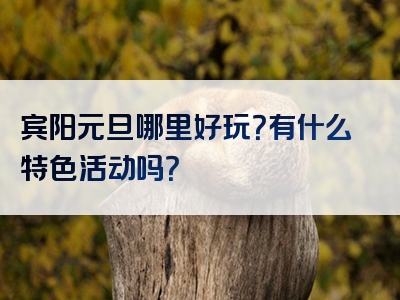 宾阳元旦哪里好玩？有什么特色活动吗？
