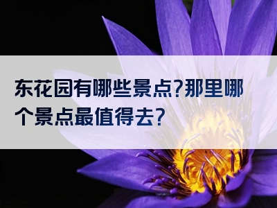 东花园有哪些景点？那里哪个景点最值得去？