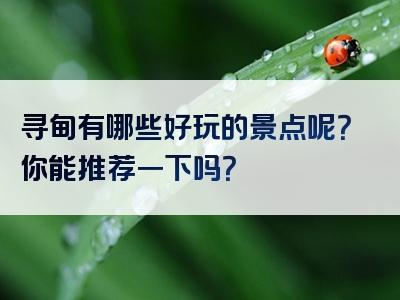 寻甸有哪些好玩的景点呢？你能推荐一下吗？