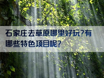 石家庄去草原哪里好玩？有哪些特色项目呢？
