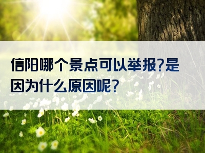 信阳哪个景点可以举报？是因为什么原因呢？