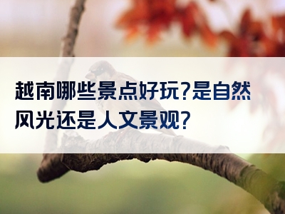 越南哪些景点好玩？是自然风光还是人文景观？