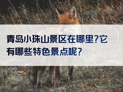 青岛小珠山景区在哪里？它有哪些特色景点呢？