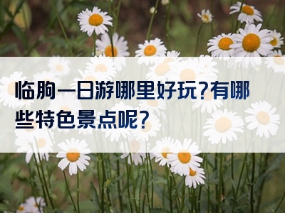 临朐一日游哪里好玩？有哪些特色景点呢？