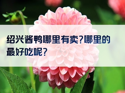 绍兴酱鸭哪里有卖？哪里的最好吃呢？