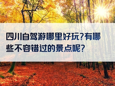 四川自驾游哪里好玩？有哪些不容错过的景点呢？