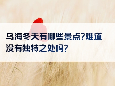 乌海冬天有哪些景点？难道没有独特之处吗？