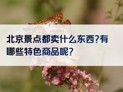 北京景点都卖什么东西？有哪些特色商品呢？