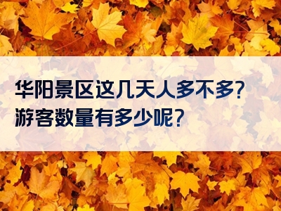 华阳景区这几天人多不多？游客数量有多少呢？