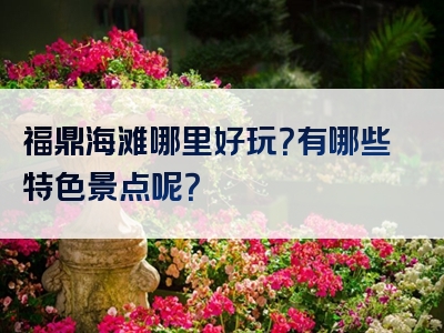 福鼎海滩哪里好玩？有哪些特色景点呢？