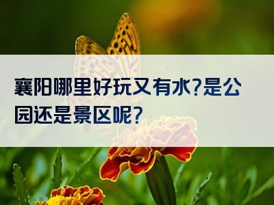 襄阳哪里好玩又有水？是公园还是景区呢？
