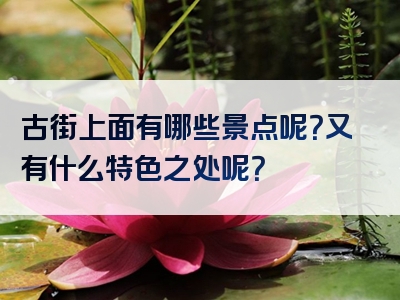 古街上面有哪些景点呢？又有什么特色之处呢？