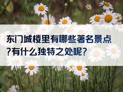 东门城楼里有哪些著名景点？有什么独特之处呢？