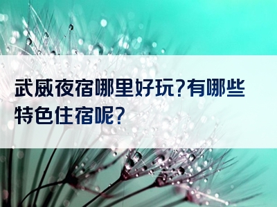 武威夜宿哪里好玩？有哪些特色住宿呢？