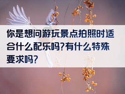 你是想问游玩景点拍照时适合什么配乐吗？有什么特殊要求吗？