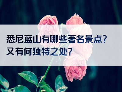 悉尼蓝山有哪些著名景点？又有何独特之处？