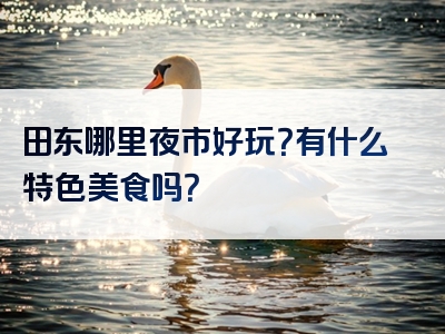 田东哪里夜市好玩？有什么特色美食吗？
