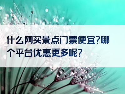 什么网买景点门票便宜？哪个平台优惠更多呢？