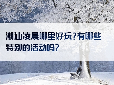 潮汕凌晨哪里好玩？有哪些特别的活动吗？