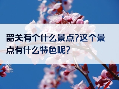 韶关有个什么景点？这个景点有什么特色呢？