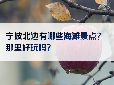宁波北边有哪些海滩景点？那里好玩吗？