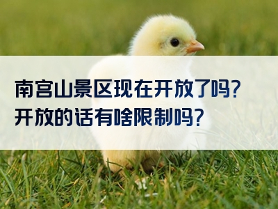 南宫山景区现在开放了吗？开放的话有啥限制吗？