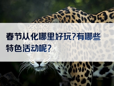 春节从化哪里好玩？有哪些特色活动呢？